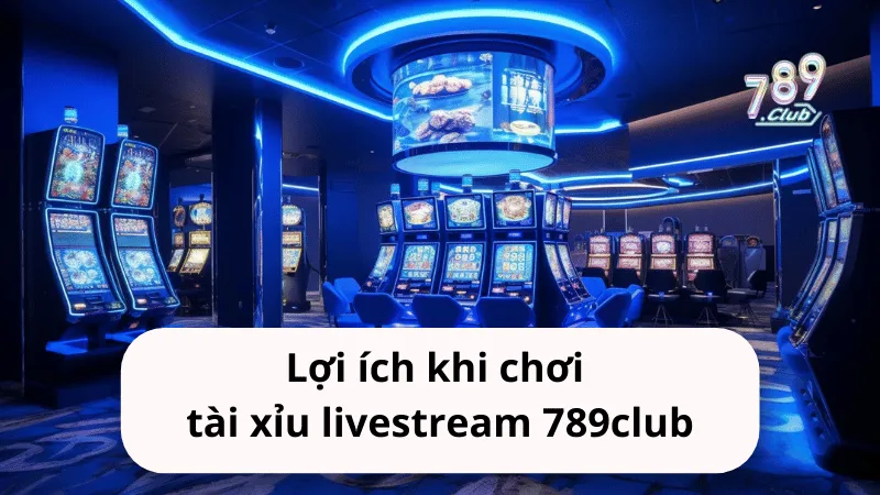 loi ich khi choi tai xiu livestream 789club Lợi ích khi chơi tài xỉu livestream 789club